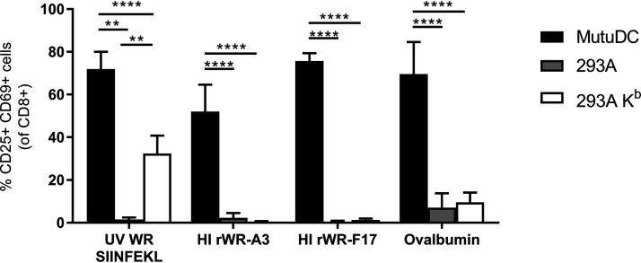 FIG 7