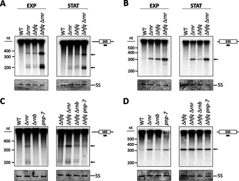 FIG 3