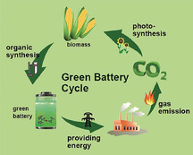 graphic file with name CSSC-13-2110-g028.jpg