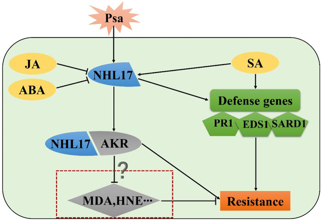 Fig. 11