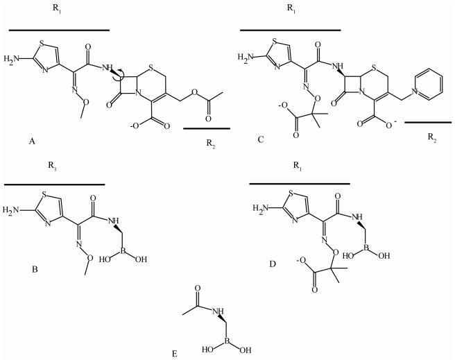 FIG. 1.