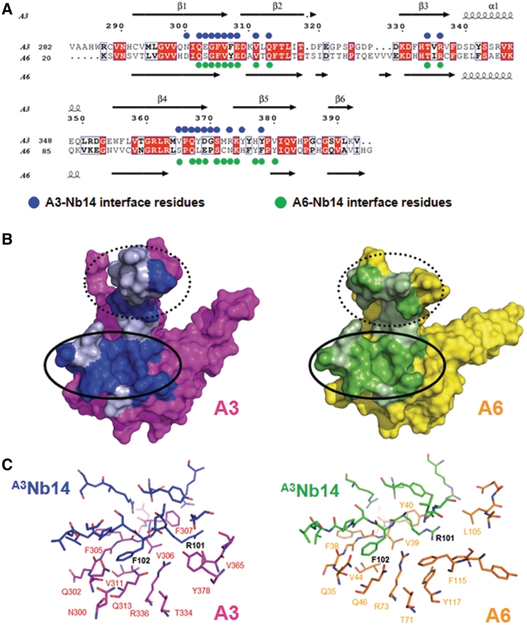 Figure 5.