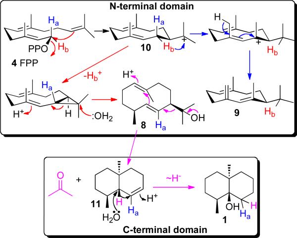 SCHEME 3