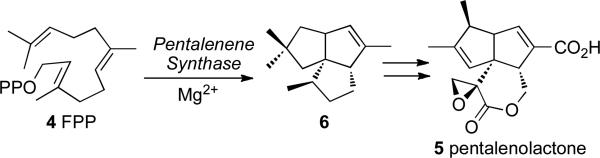 SCHEME 2