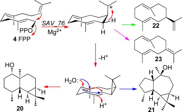 SCHEME 7