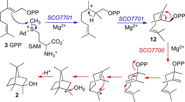 SCHEME 4