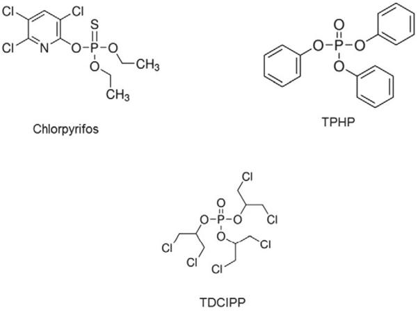 Appendix Fig. 1