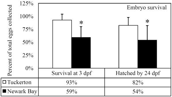 Fig 5