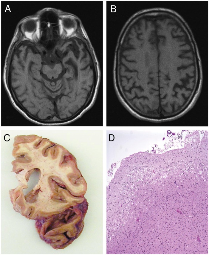 FIGURE 1.