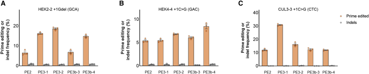 Figure 3