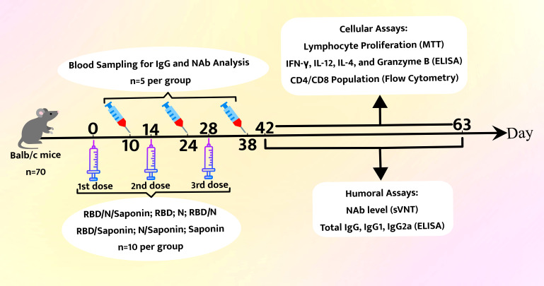 Figure 2