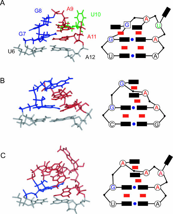 FIGURE 5.