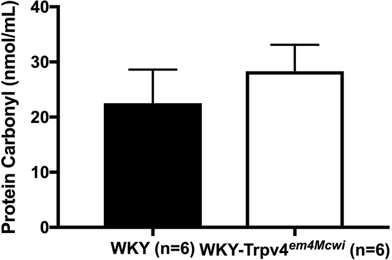 Figure 9.