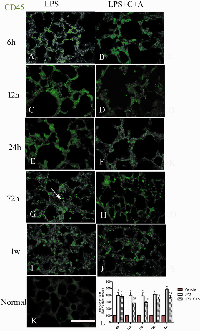 Figure 11.