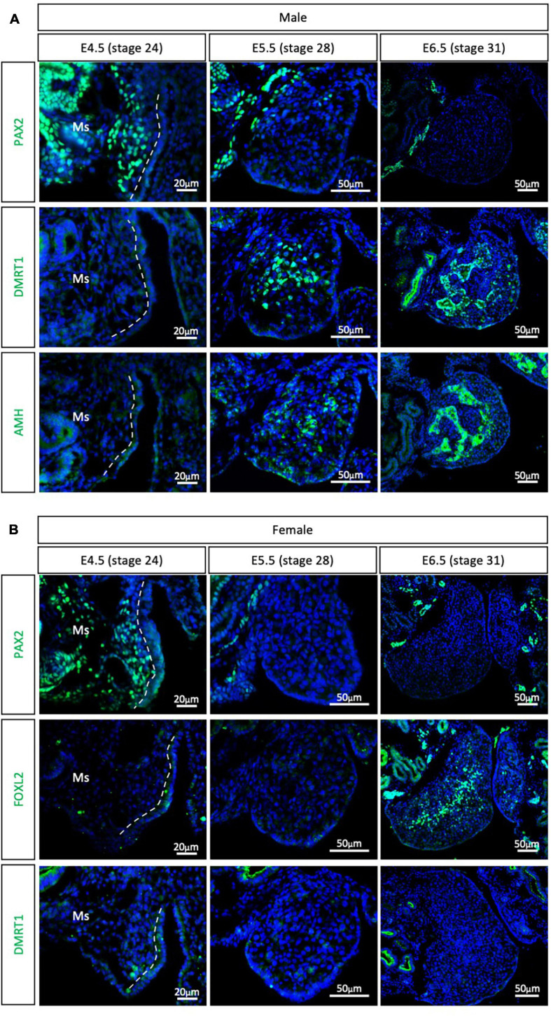 FIGURE 3