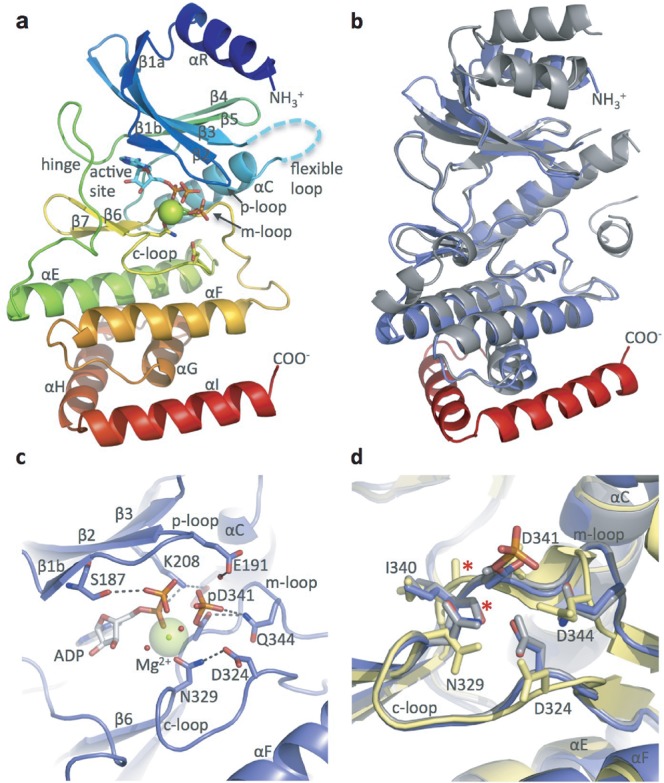 Figure 1.