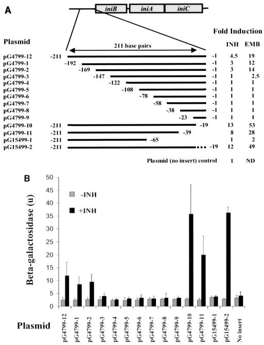 FIG. 7