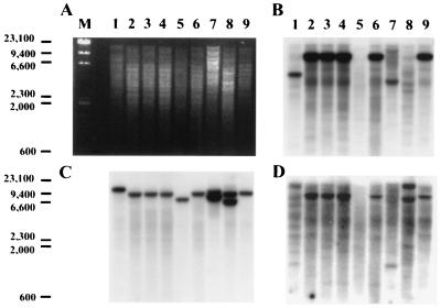 FIG. 5