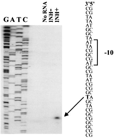 FIG. 6