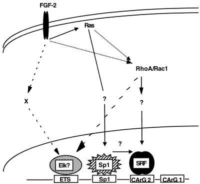 FIG. 8