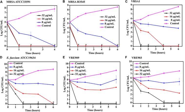 FIGURE 2