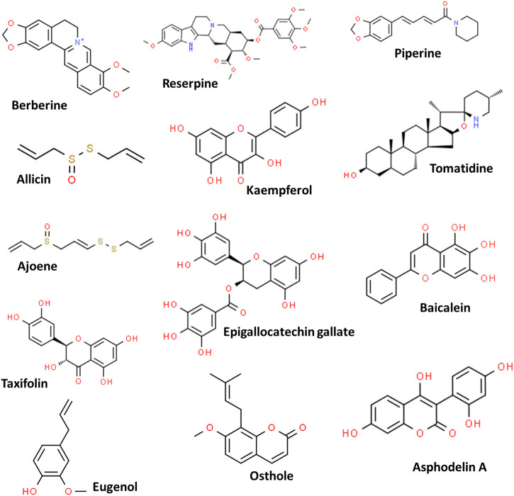 FIGURE 2