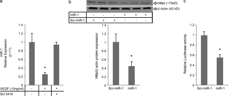 Figure 9.