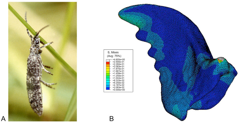 Figure 7.