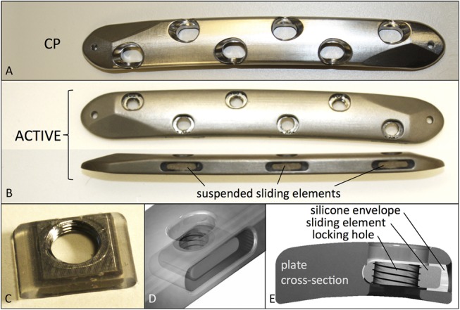 FIGURE 1.