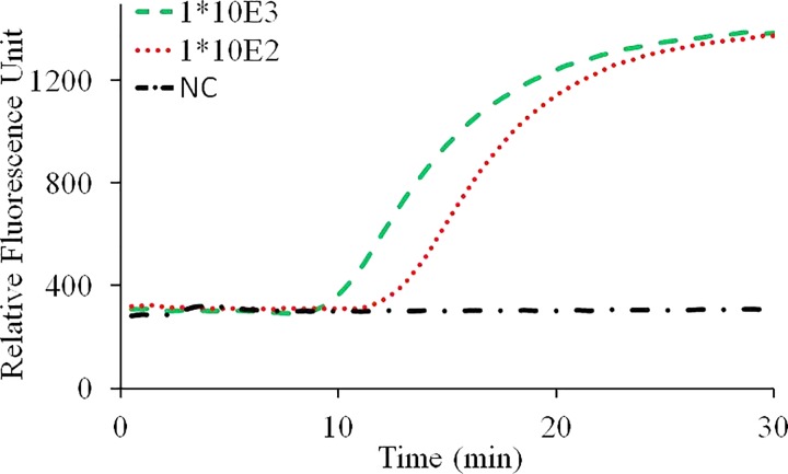 FIG. 8.