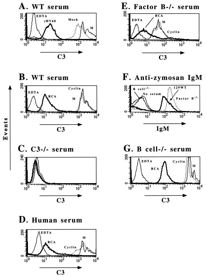 FIG. 8