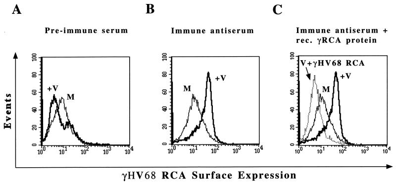 FIG. 7