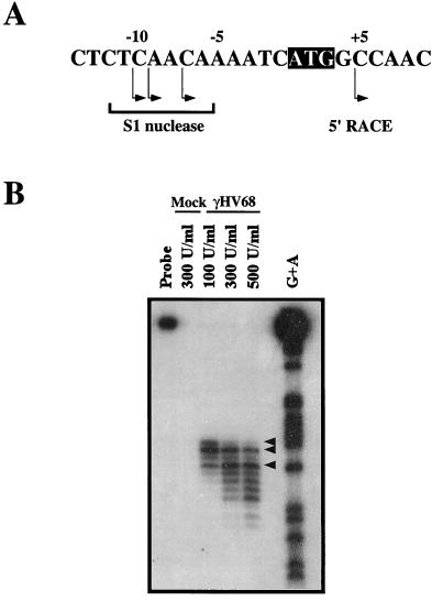 FIG. 5