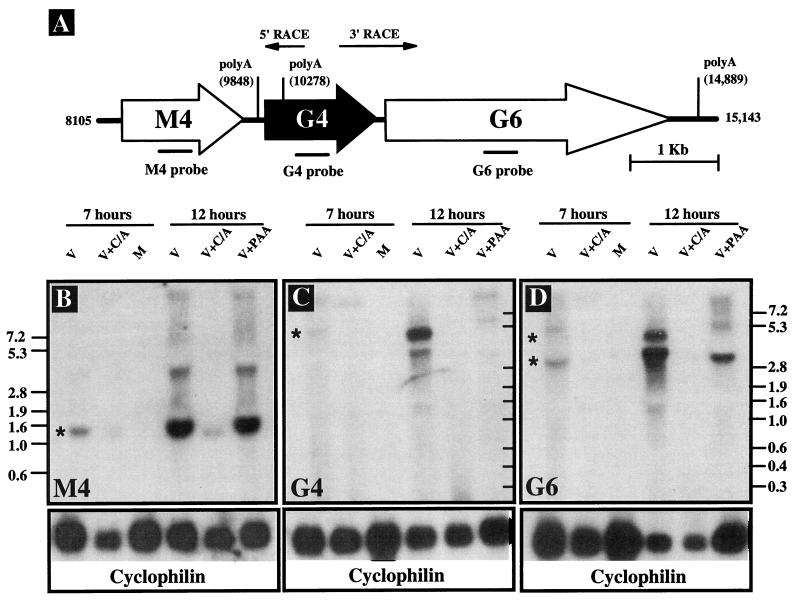 FIG. 3