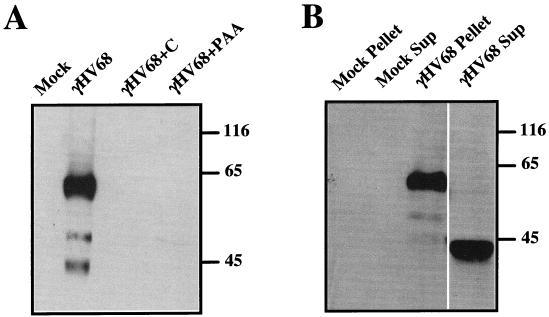 FIG. 6