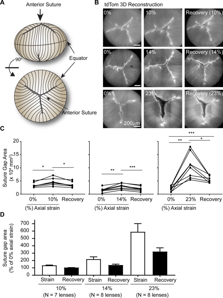 FIGURE 6: