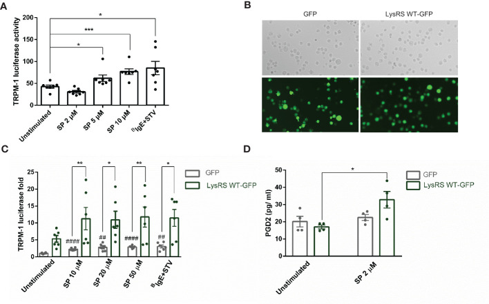 Figure 3