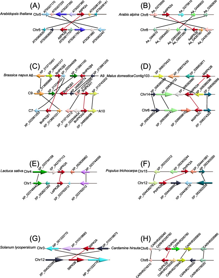 Fig. 4