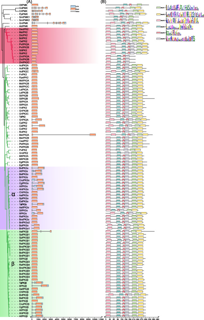 Fig. 3