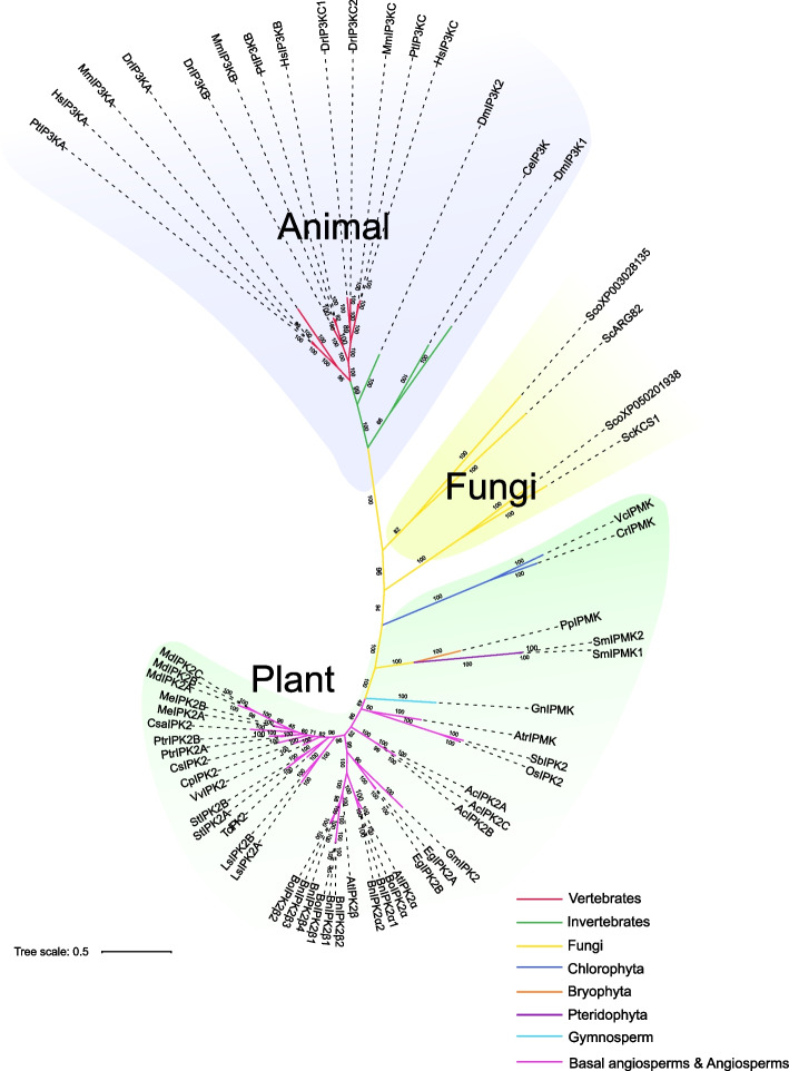Fig. 1