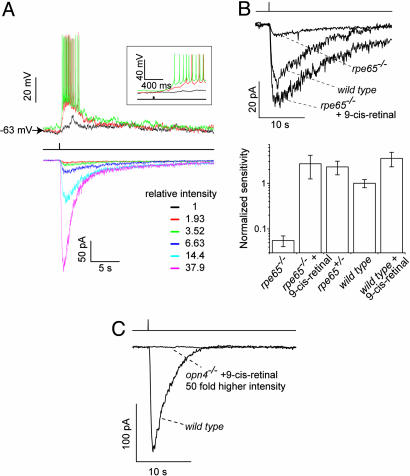 Fig. 4.