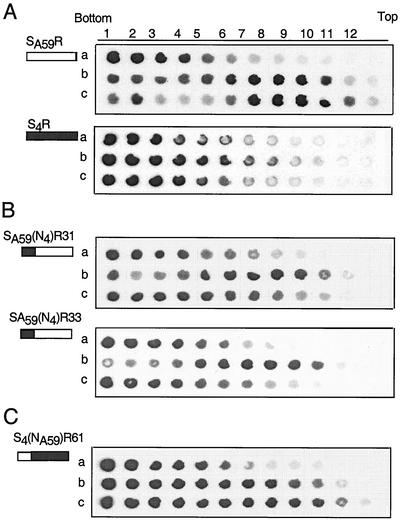 FIG. 4.