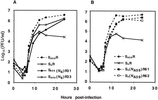 FIG. 2.