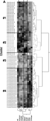 FIG. 5.