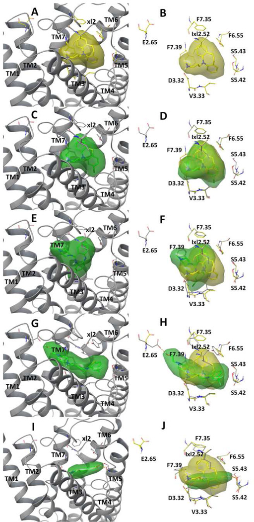 Fig. 8