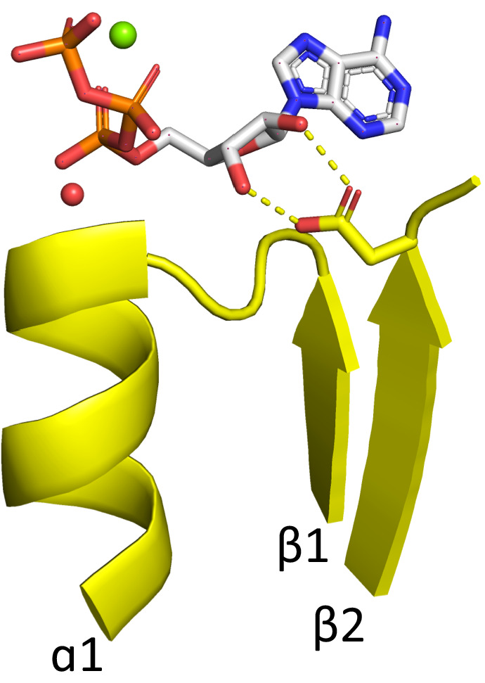 Figure 2—figure supplement 1.