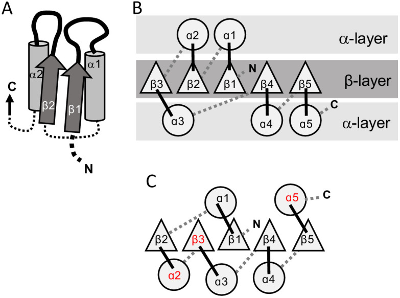 Figure 1.