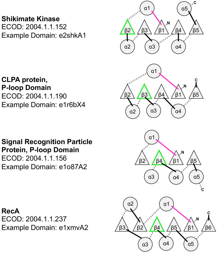 Figure 4—figure supplement 1.