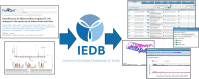 Graphical Abstract