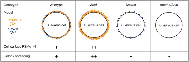 Fig 12